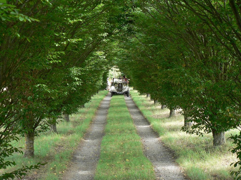 Le Fousseret Ferme Saint Joseph Bed & Breakfast エクステリア 写真