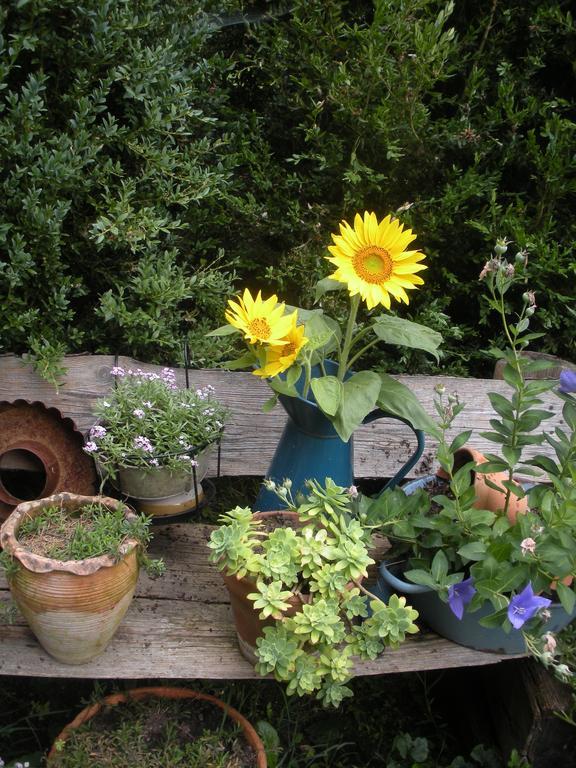 Le Fousseret Ferme Saint Joseph Bed & Breakfast エクステリア 写真